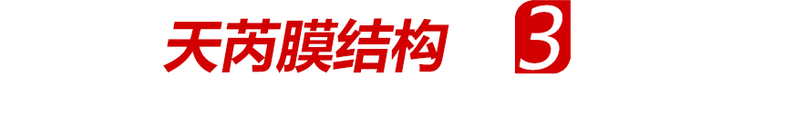 优势